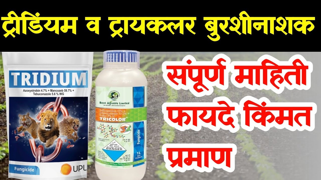Upl Tridium fungicide / Best agro Tricolour fungicide / Tridium burshinashak / trishoot fungicde