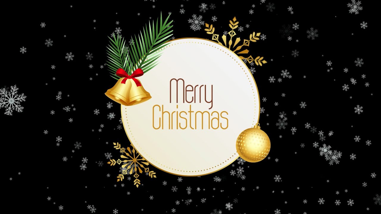 Merry Christmas  || Vector Animation || By- @silentvines1144