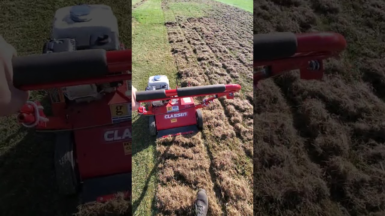 Dethatch the Lawn