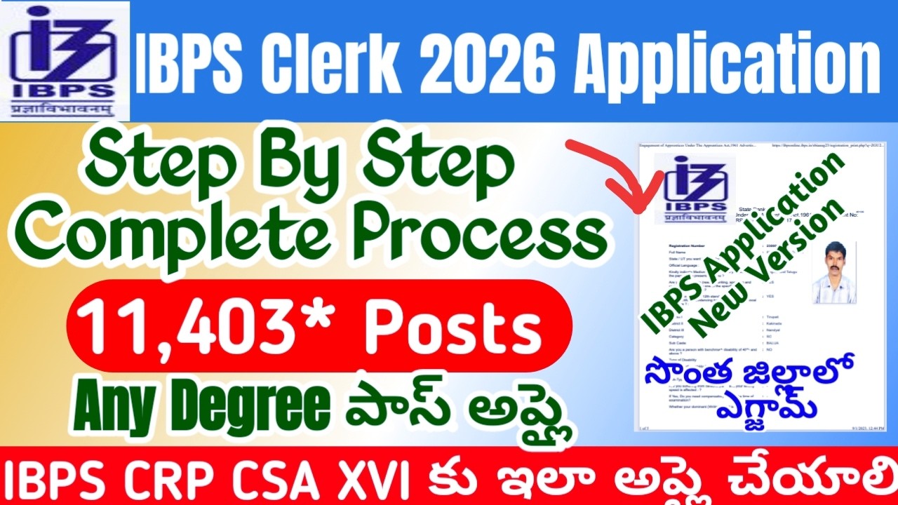 IBPS Clerk 2026 Apply Telugu|How to apply ibps clerk online telugu|IBPS CRP XVI Application form