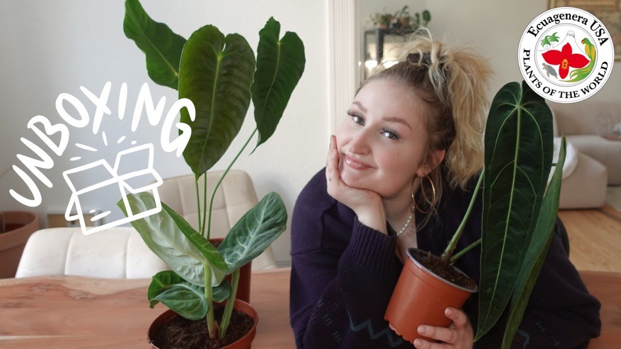 ECUAGENERA USA UNBOXING ✨