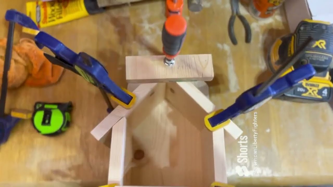 Cardinal Nest Box Build