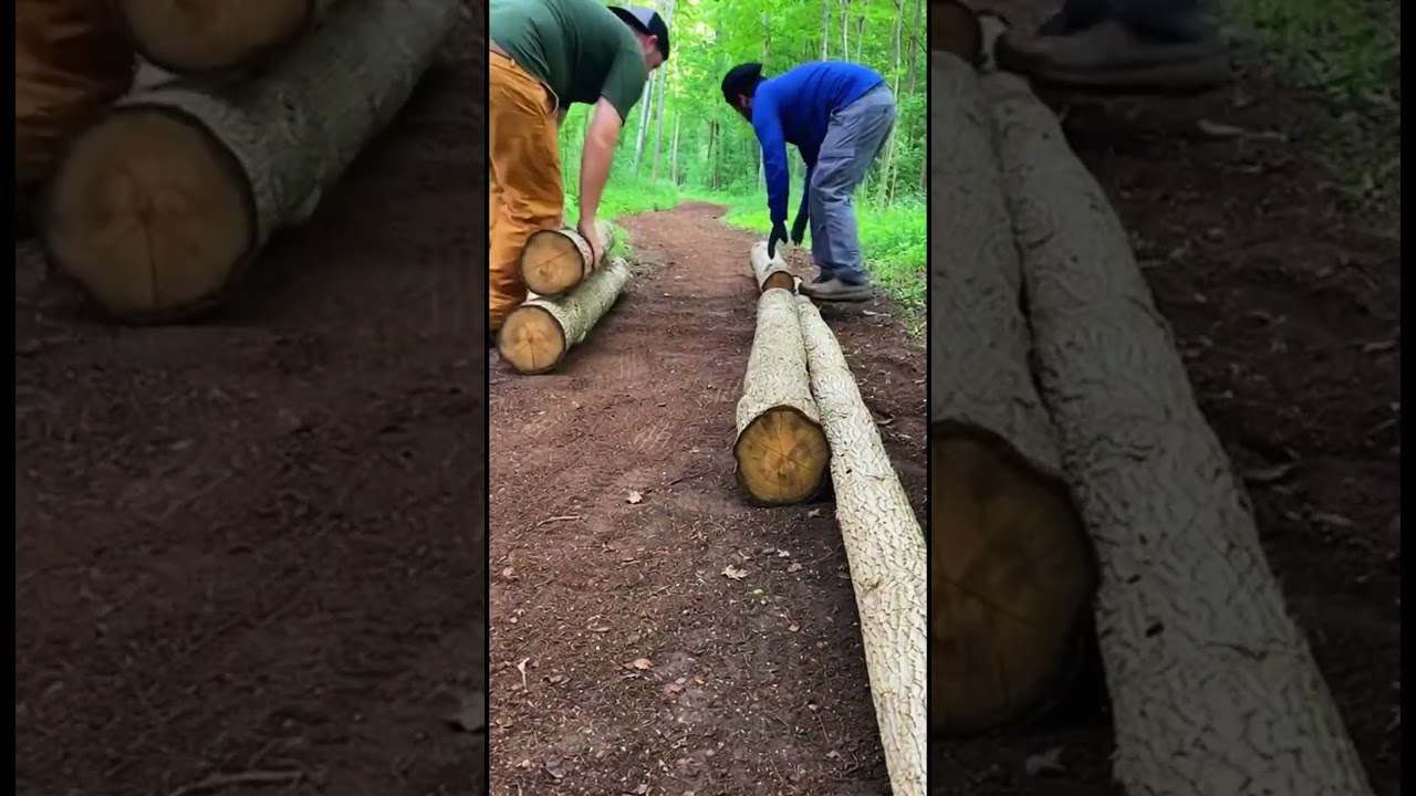 Recycling Hack: Gartenweg aus Papiert&uuml;ten in 16 Sekunden ♻️