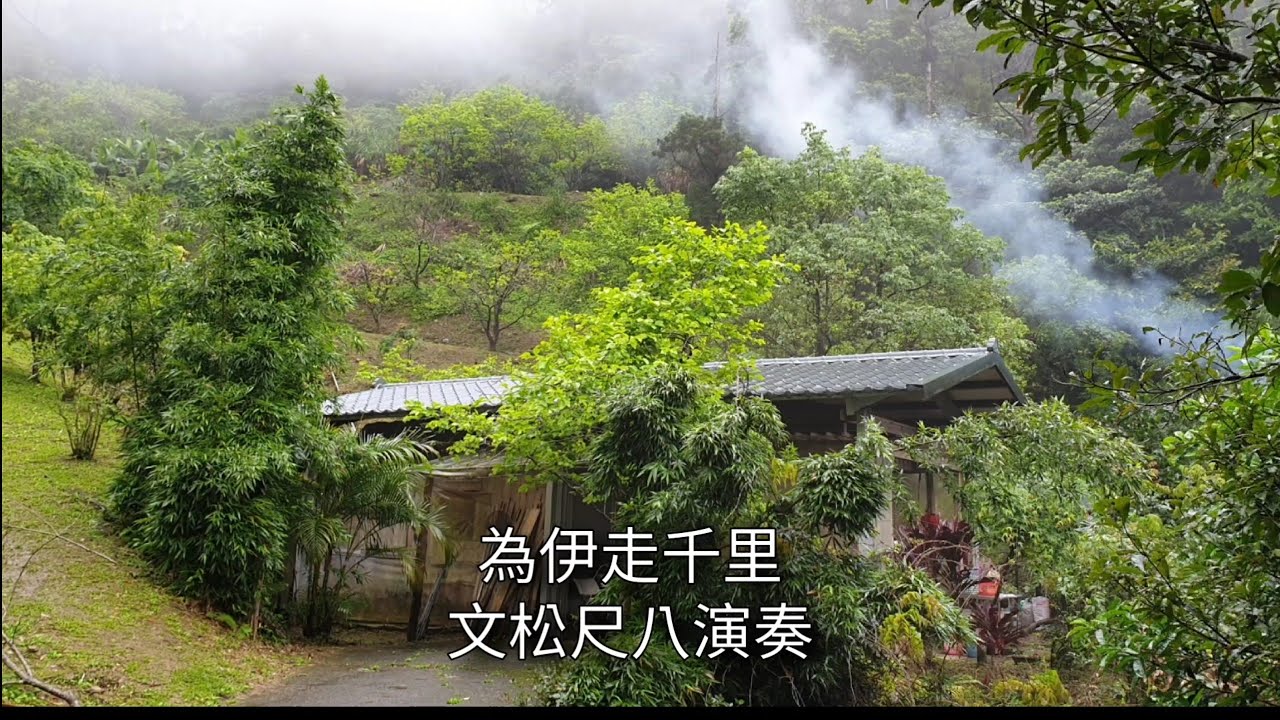 懷念老歌〔為伊走千里〕文松洞簫演奏，F調八孔尺八#Shakuhachi flute music