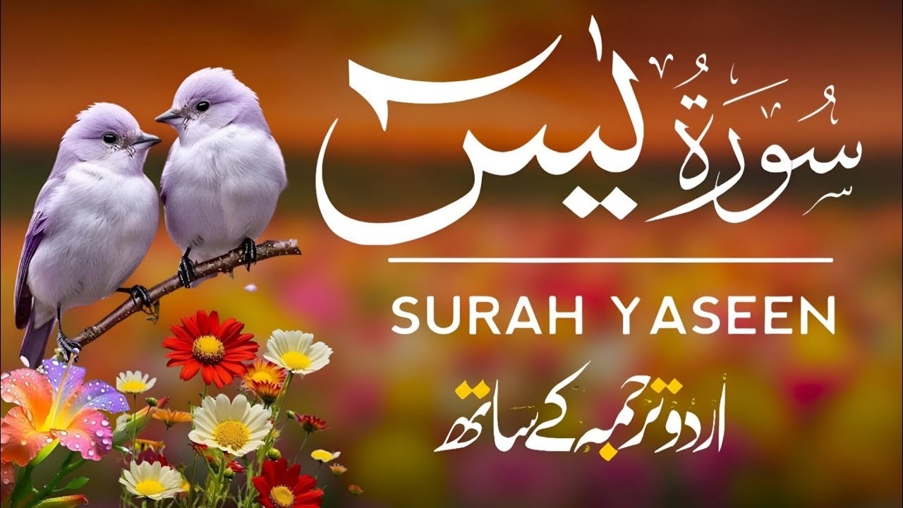Surah Yaseen With Urdu Translation By Qari Mansoor Ghaznawi, Quran With Urdu & Hindi Tarjuma | Ep124