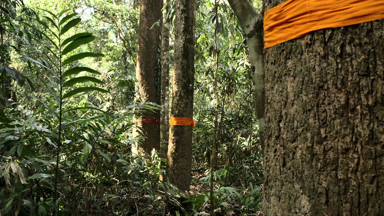 Cambodia: Fight for Areng Valley