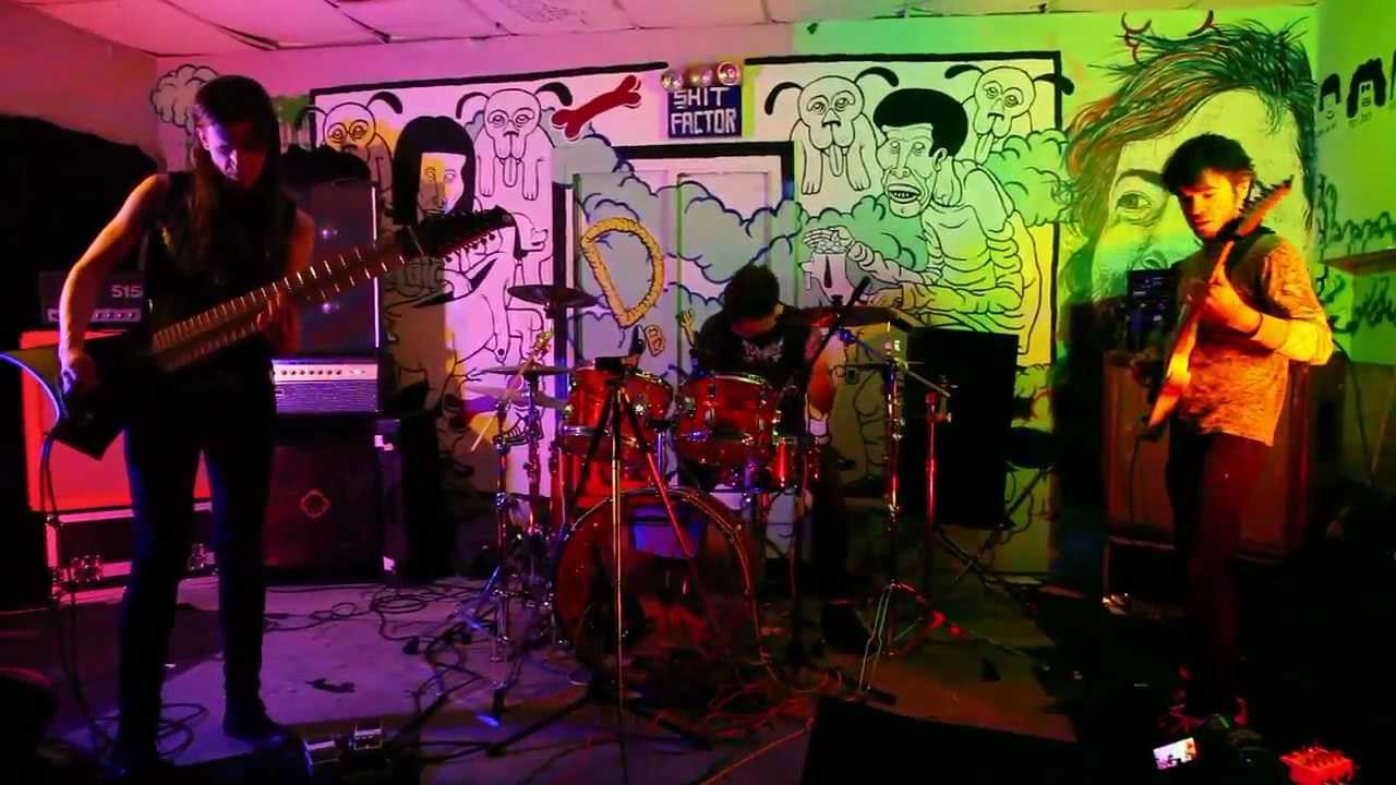 Behold The Arctopus - Horrorsentience - at Death By Audio, Brooklyn - April 29 2012