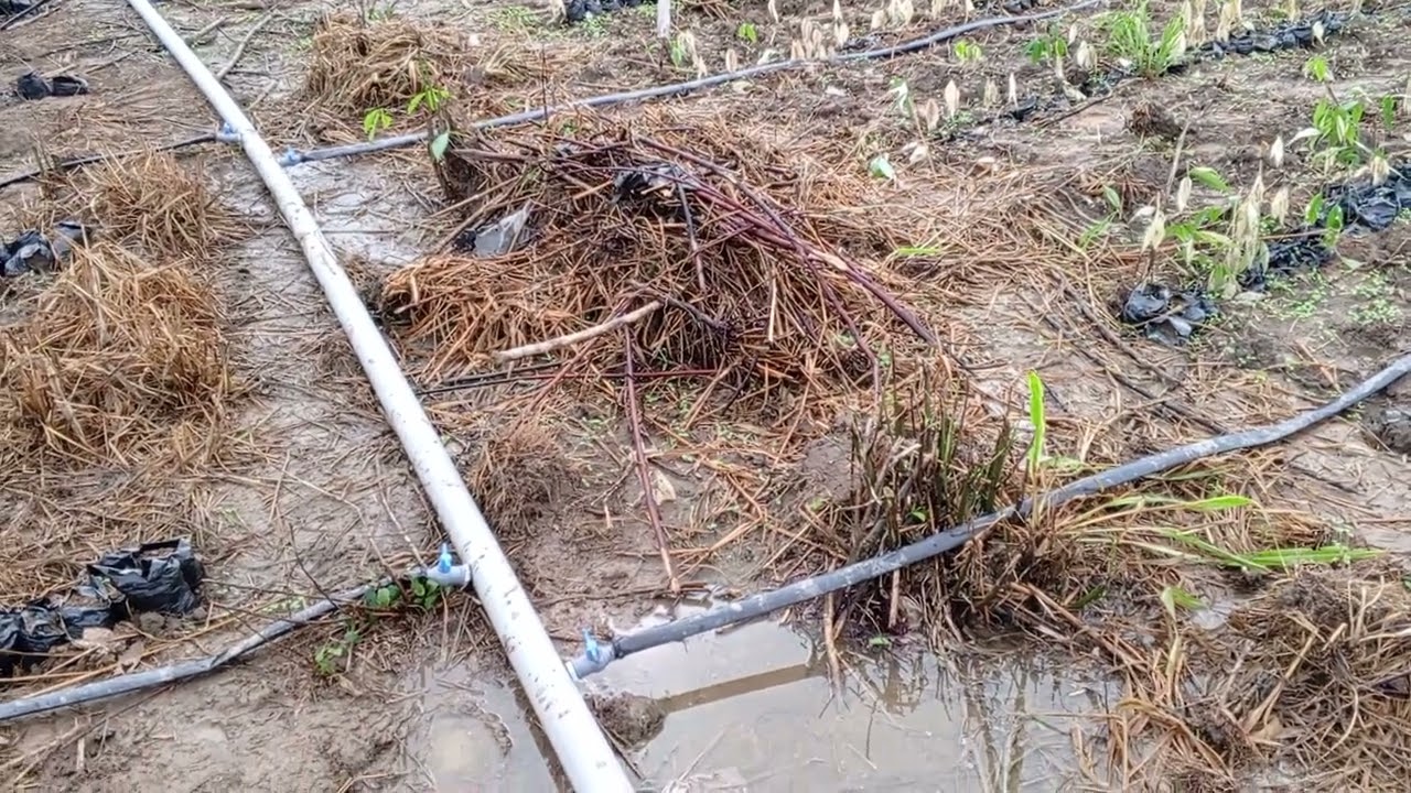 comment installer un système d'irrigation moins cher