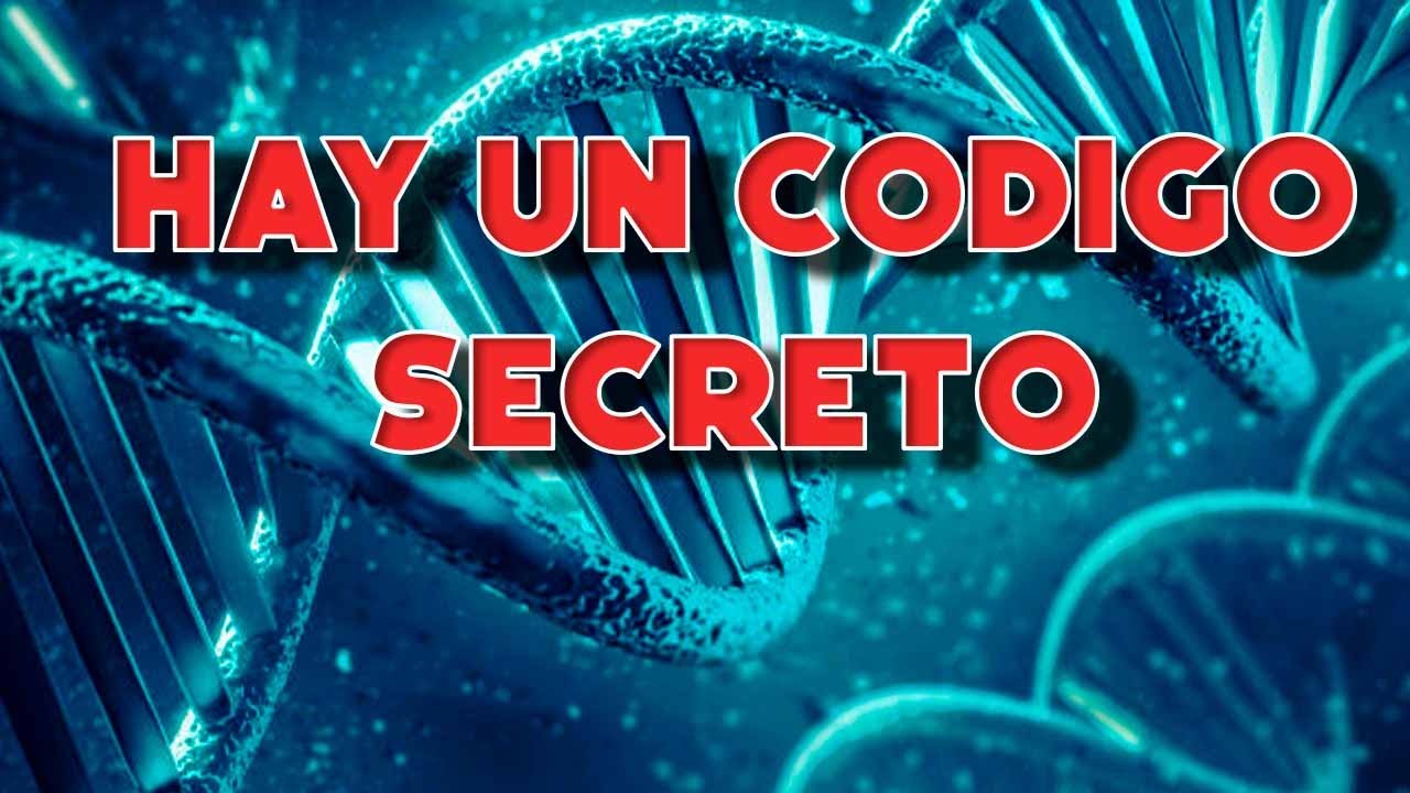 Hay un 'código secreto' en el ADN