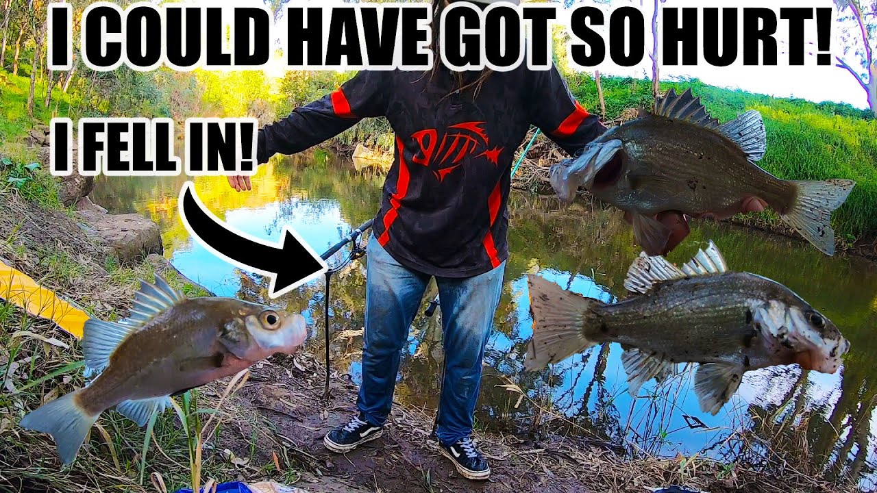 REDFIN & ESTUARY PERCH FISHING W/ LIVEBAIT (FISHING FAIL!)