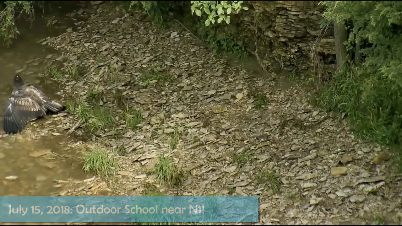 Soaring Survivors: Outdoor School