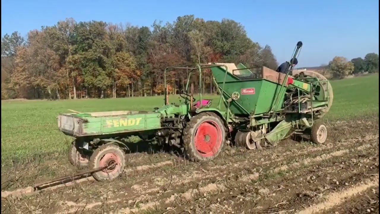 Fendt GT 231 bei der Kartoffelernte mit Spurpilot - statt GPS