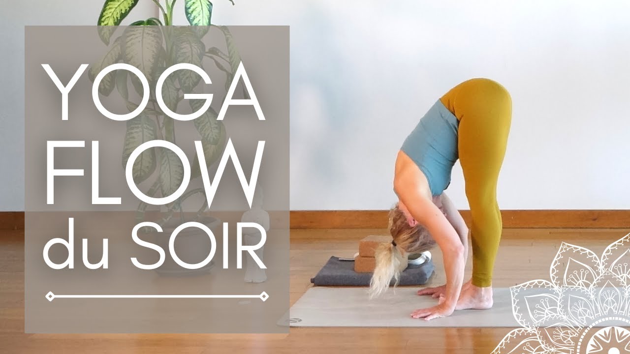 Yoga Flow du Soir en Français : Yoga Vinyasa pour Débutants (25 Min)