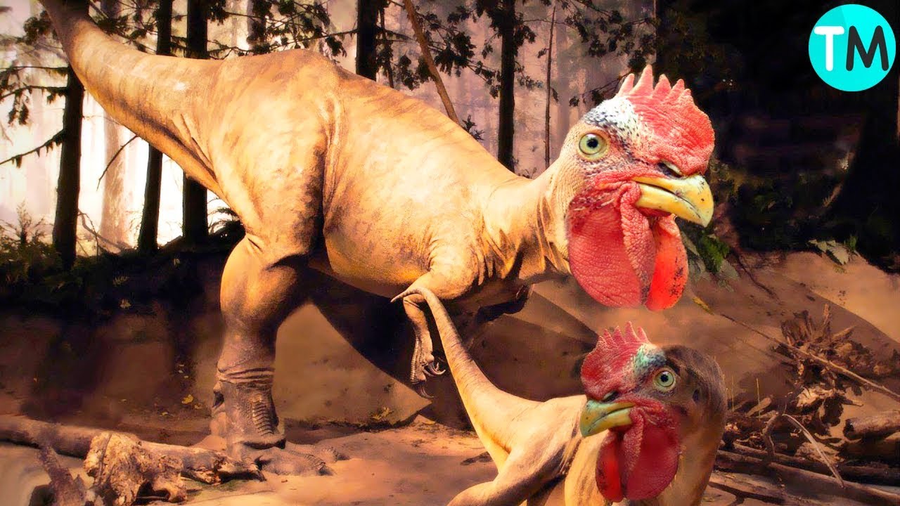 10 ANIMALES PREHISTÓRICOS QUE AUN EXISTEN