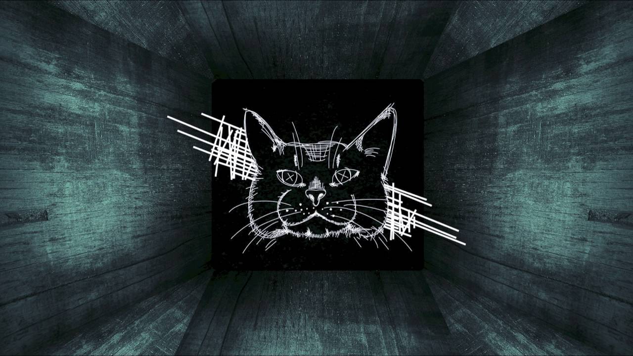 Steve Kid - Who Knows feat. Kinga (Original Mix) [Naschkatze Underground]