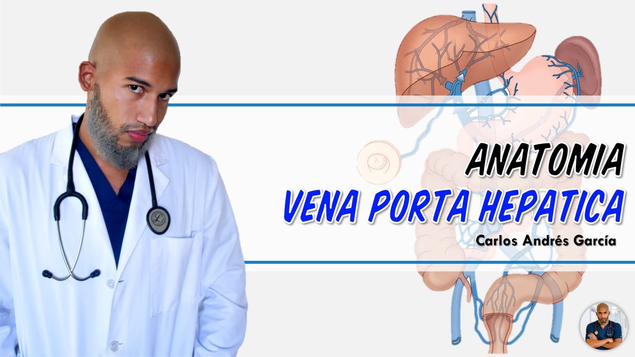 Anatomía - Vena Porta Hepática y Anastomosis Porto - Sistémica
