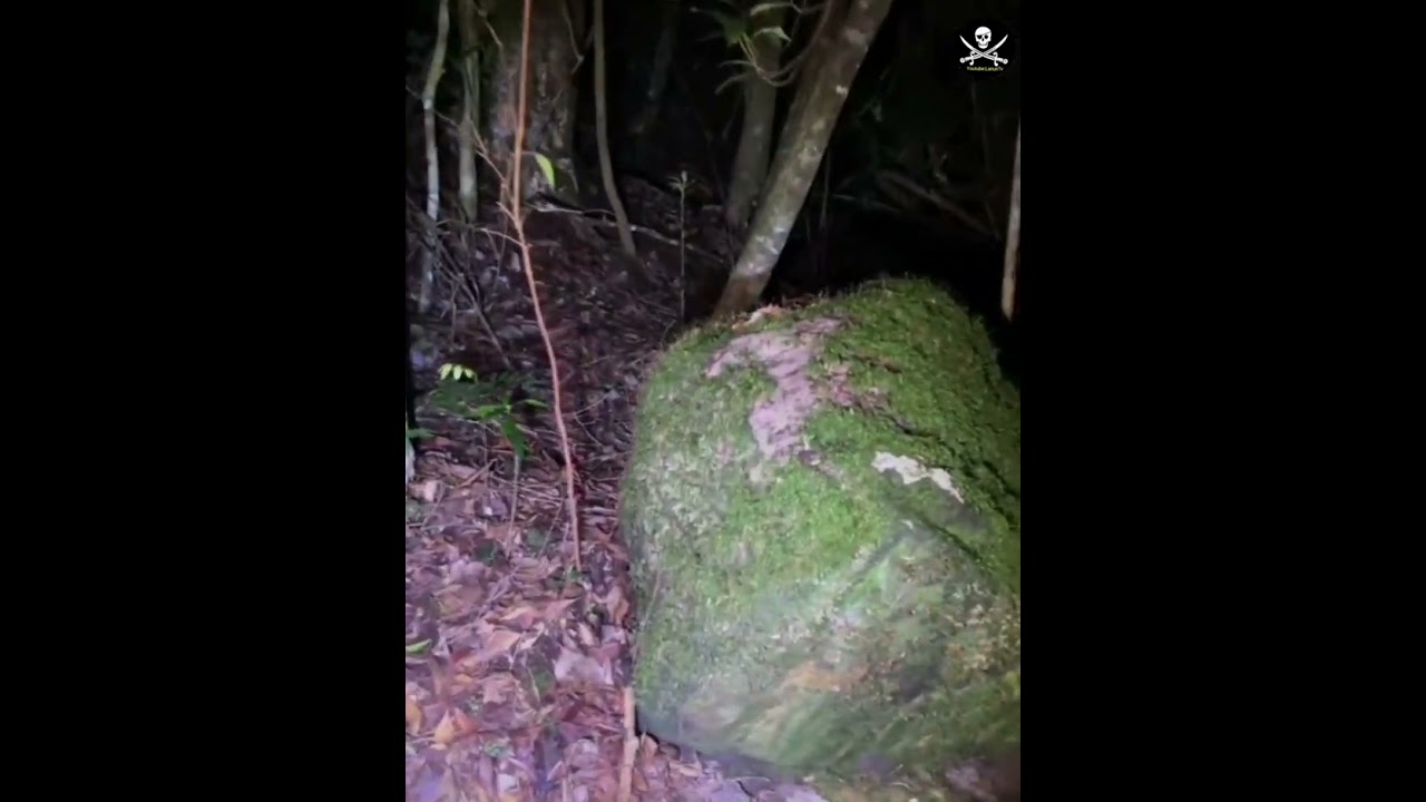 Paranormal horror kampong bunian gunung jerai