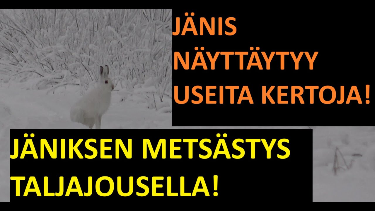 J&Auml;NIKSEN METS&Auml;STYST&Auml; TALJAJOUSELLA! 22.11.2025