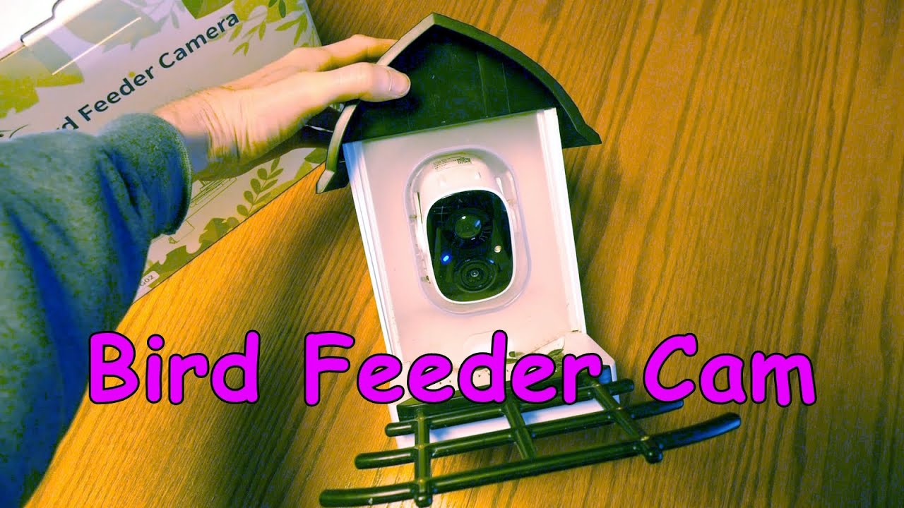 Камера наблюдения за кормушкой для птиц