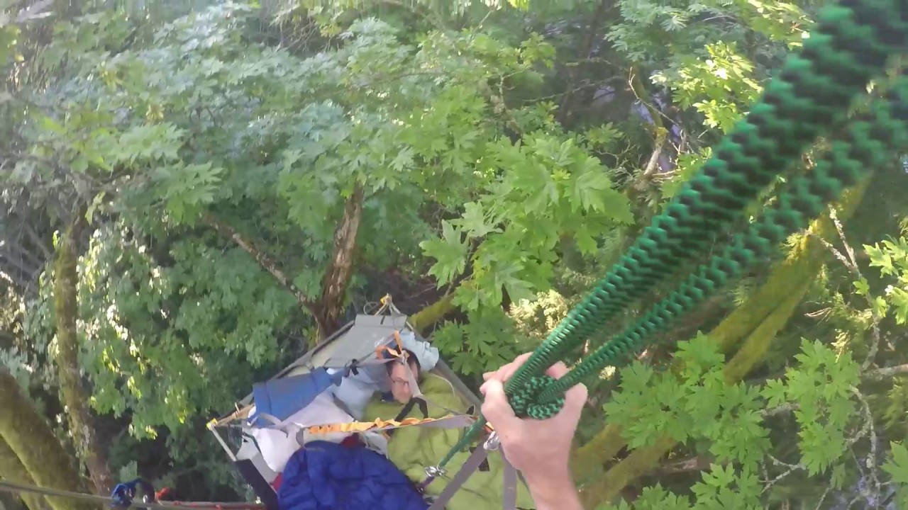 Camping in a 100' Maple tree