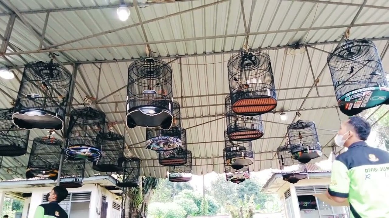SIMULASI MURAI BATU