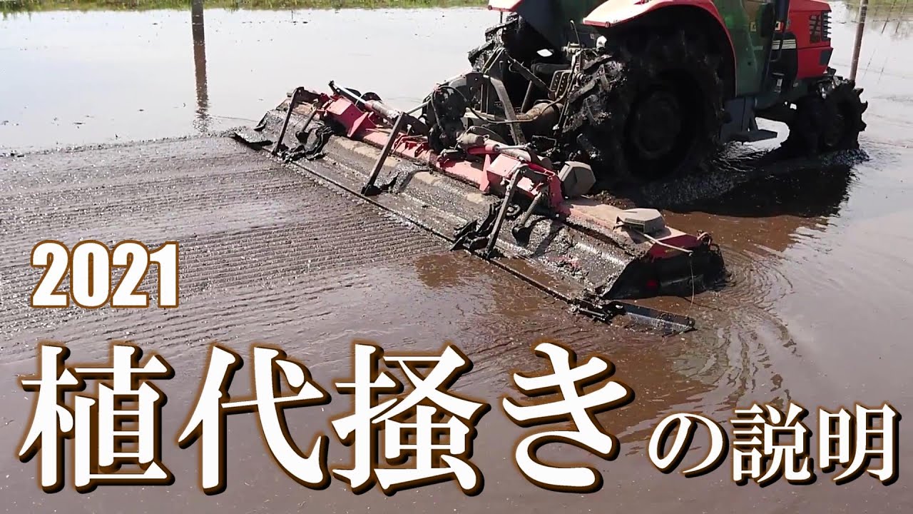 【2021】おらげの植代掻き始まりました‼＜コバシサイバーハローTXF410＞＜クボタトラクターGM60＞