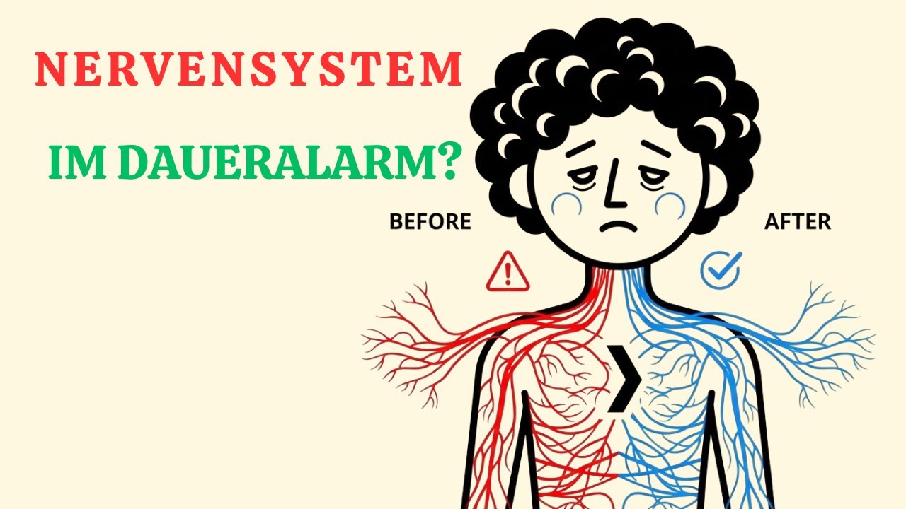 5 wirksame Körperübungen, die dein Nervensystem täglich heilen