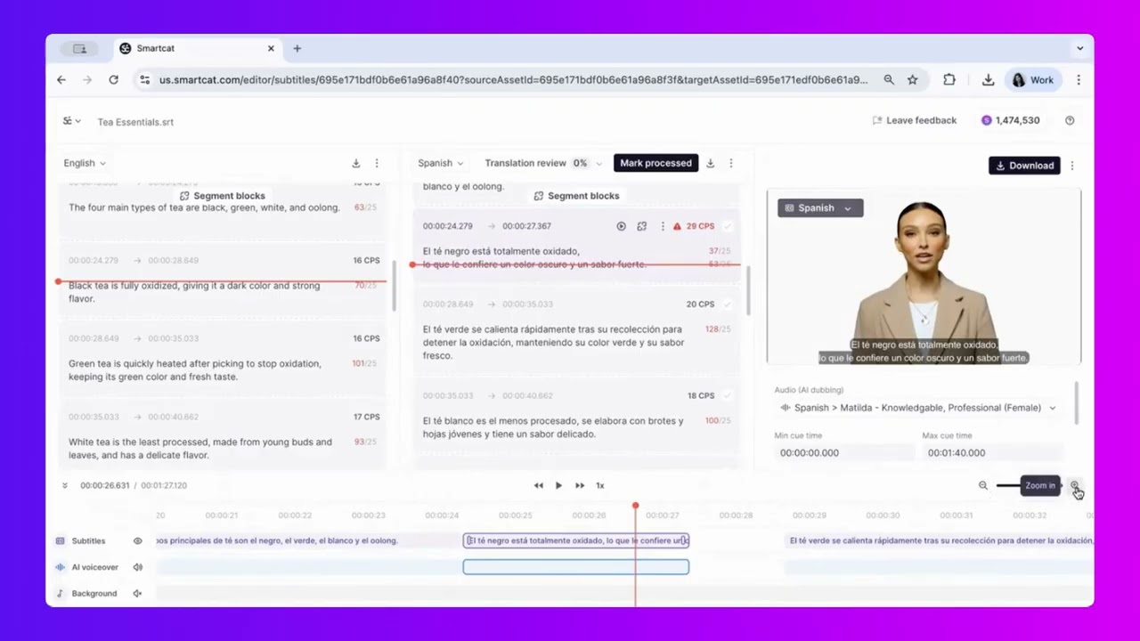 Video Subtitles and Dubbing Guide