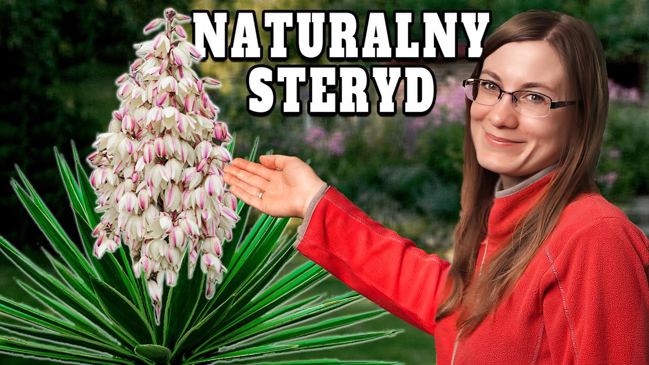 Fenomenalna Roślina Warta MILIONY