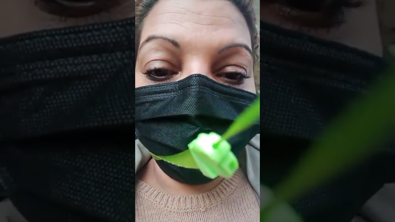 Antigitanismo en Lugo