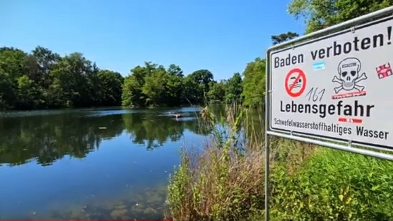 Silbersee Nürnberg (Er zählt zu den giftigsten Gewässern in Deutschland) ℹ️nfo Video