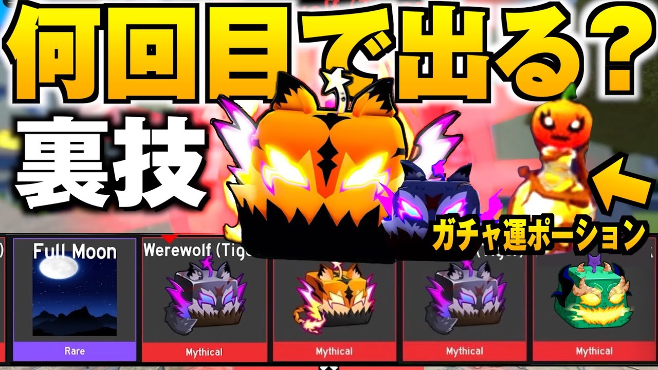 【ブロフルの裏技】ガチャ運2倍ポーションでタイガー&ウルフは何回目で当たるのか検証してみた！(ハロウィンガチャ)【ブロックスフルーツ/Blox Fruits】