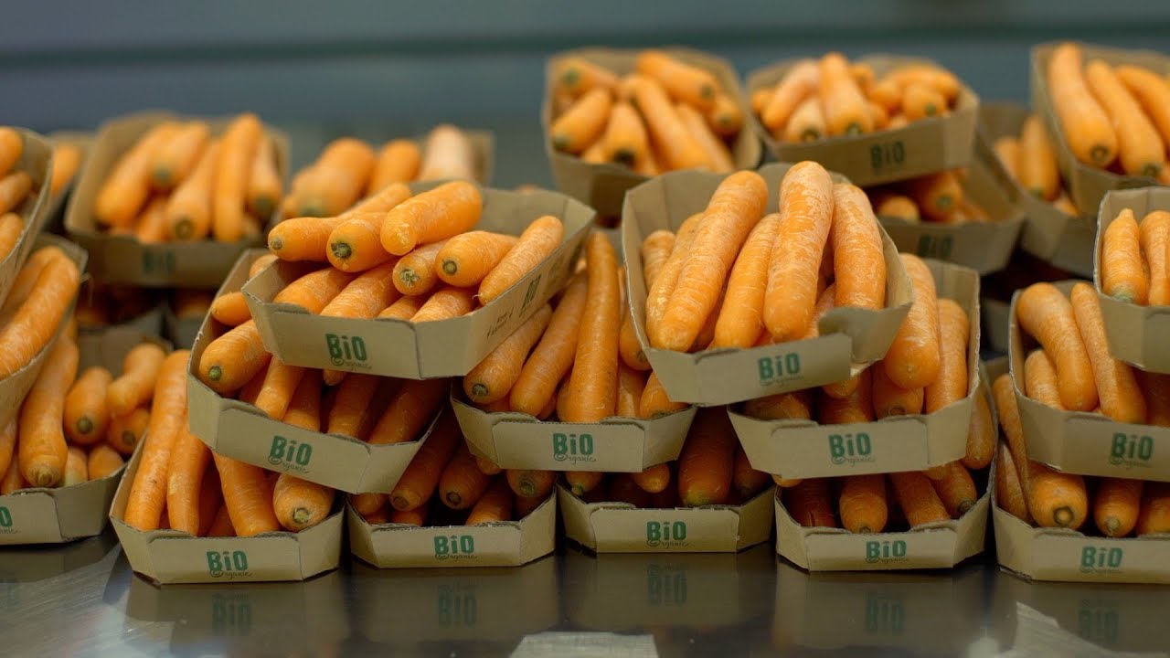 BIO warzywa i owoce. Czy warto kupować produkty bio?