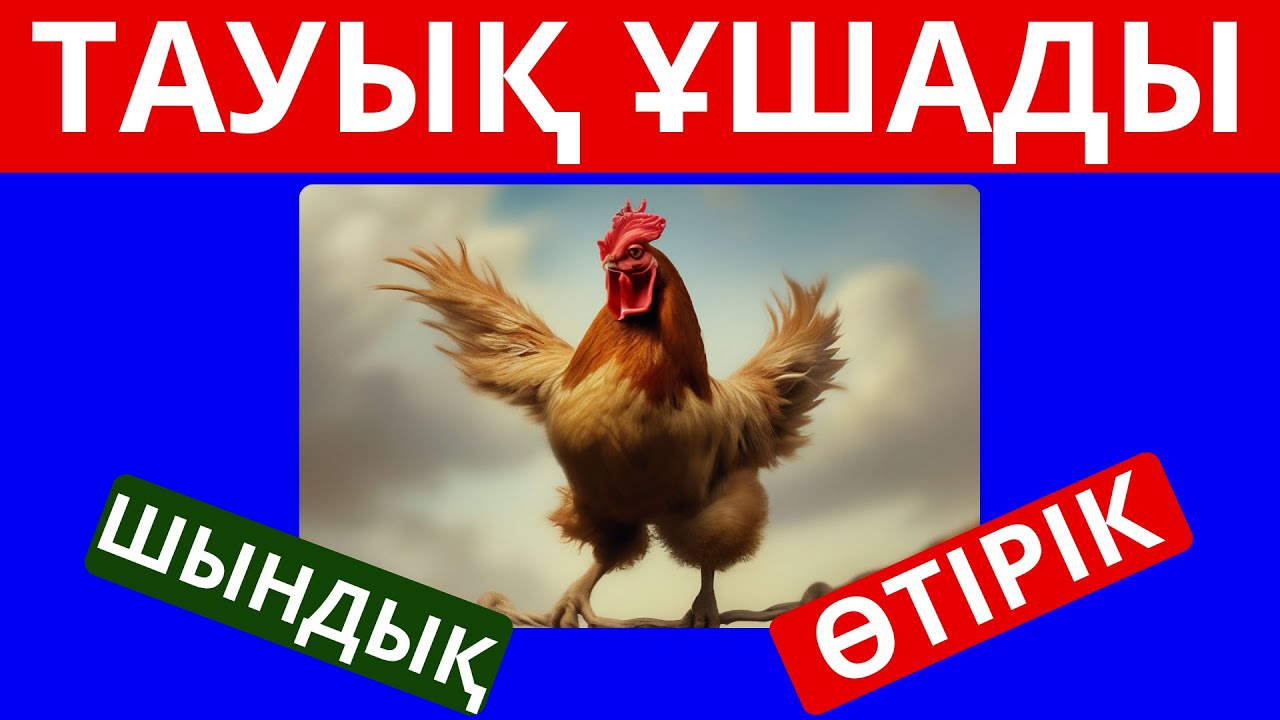 ШЫН БА , ӨТІРІК ПЕ?😂🧐 ҚЫЗЫҚТЫ ФАКТІЛЕРДІ БІЛЕСІН БЕ КӨРЕЙІК!