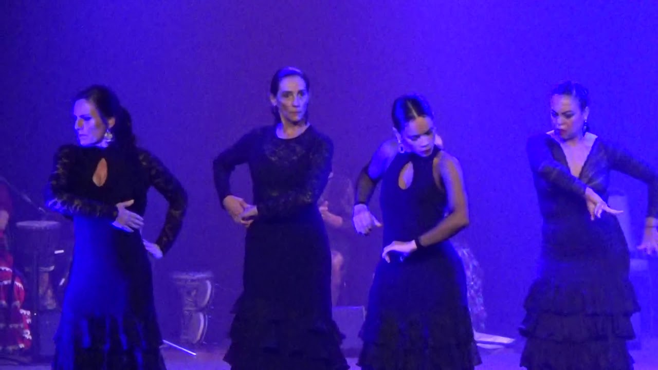 Apresentação - Rueda Flamenca 2019 - Siguiriya