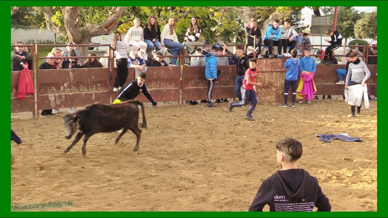BISIMBRE ( ZARAGOZA ) TARDE NOVILLAS EN PLAZA ( SÁBADO 9 DICIEMBRE 2023 ) GANAD.EL RUISEÑOR