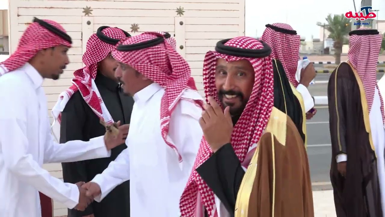 حفل زواج / محمد المهيمزي و نادر المهيمزي #الحليفه 1446/5/7 هـ