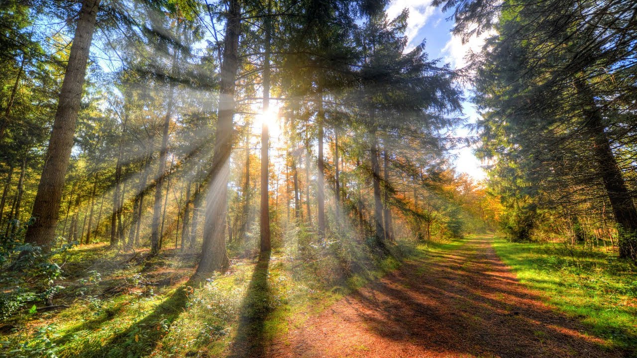 How to Create Sun Rays in Photoshop