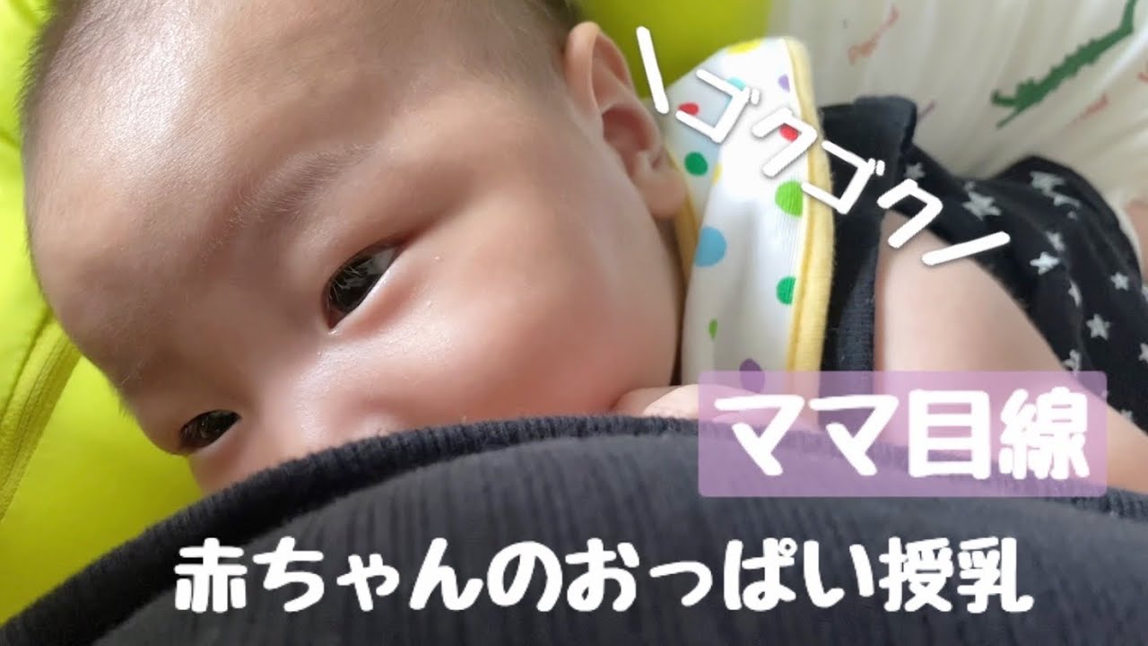 【生後2ヶ月】赤ちゃんのおっぱい授乳中の姿が小動物みたいでかわいい【ママ目線】#赤ちゃん #生後2ヶ月 #授乳