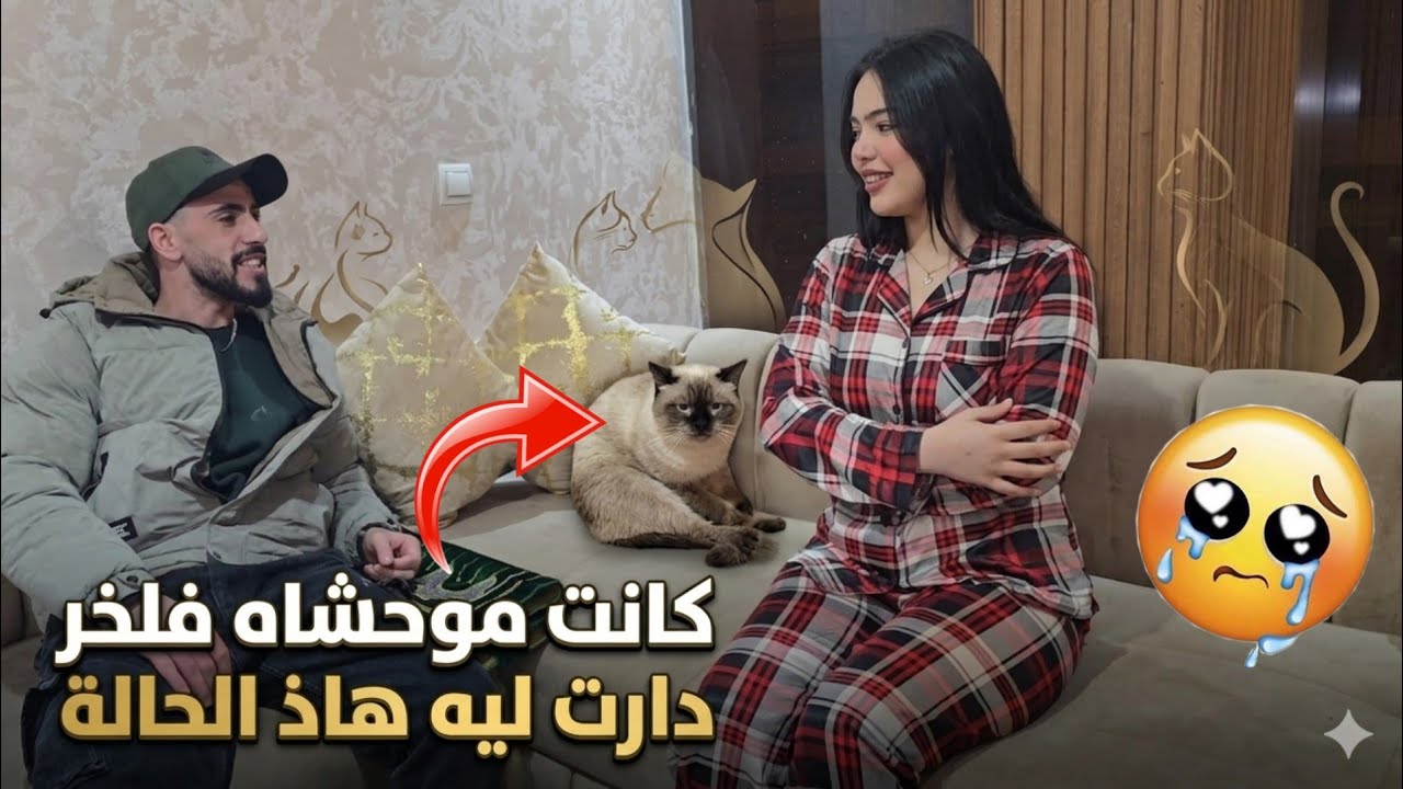 ندمت علاش جبتو ليها 🙄بقات مبرزطاني على القط فلخر دارت ليه 🫣🫣 