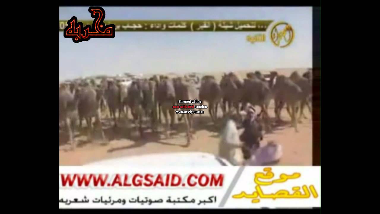 قصيدة مخربه للشاعر شبيب بن محمد بن شبنان إهداء مناحي بن شبنان