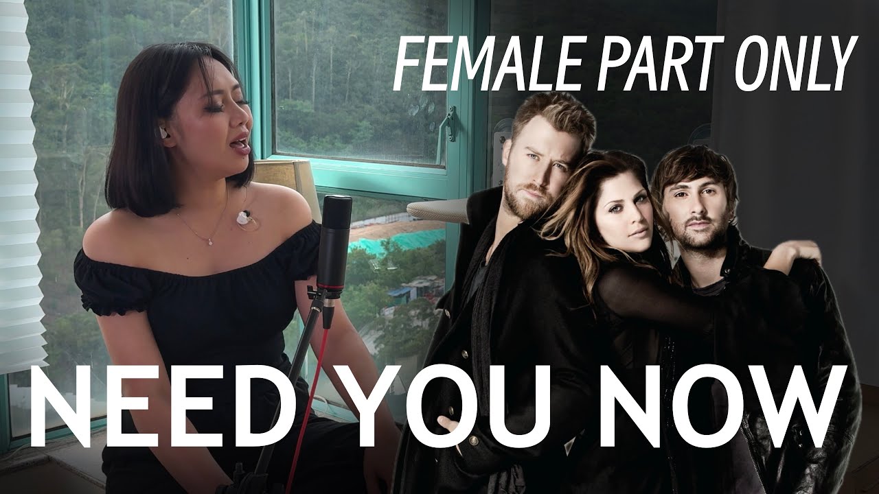 Need You Now Instrumental | Female Part Only | Karaoke