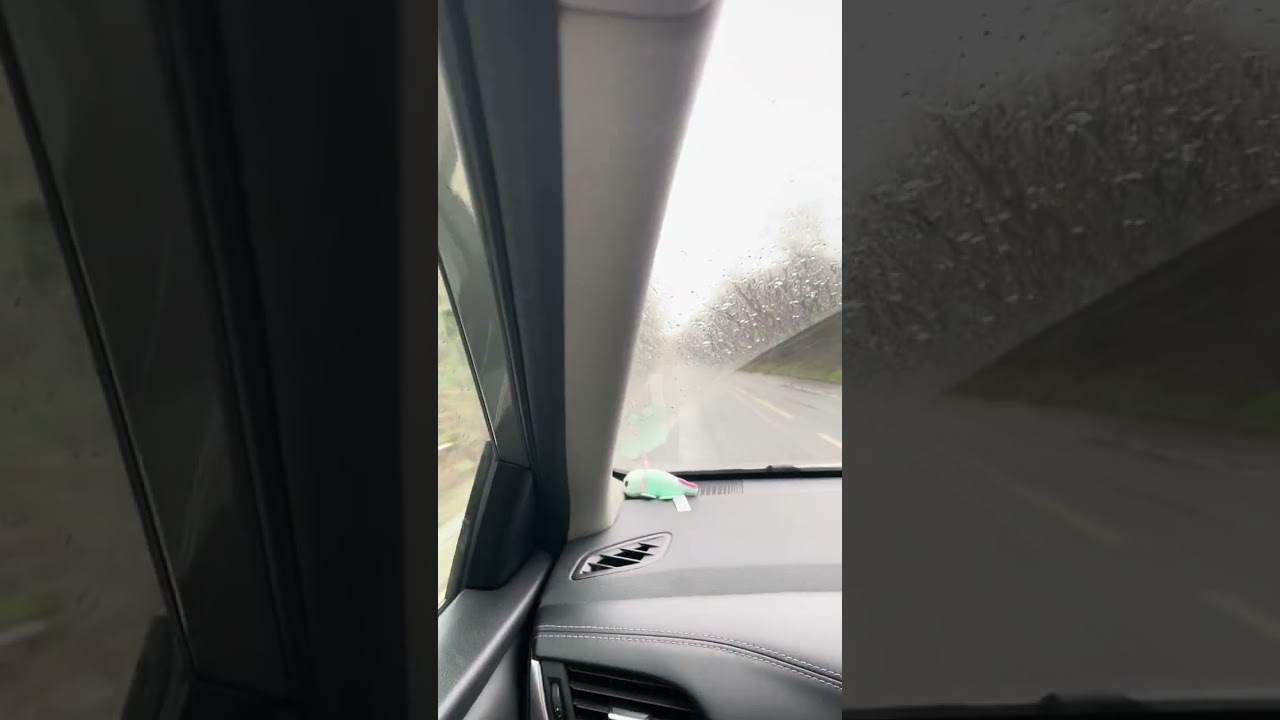View from the car 🚙 Flooding East Dorset A35, UK (27/01/26) 