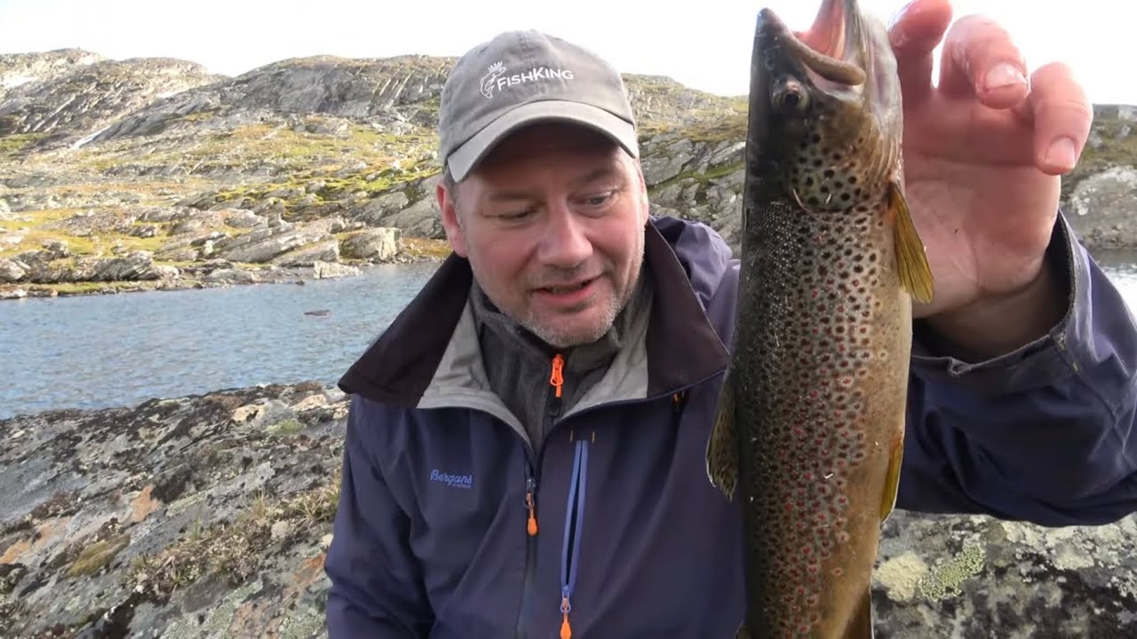 Ørretfiske med flue og dupp i fjellet