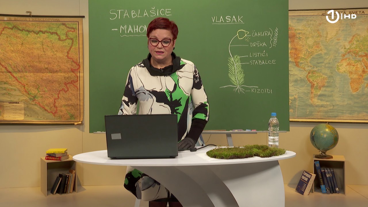 Domaća zadaća za 6. razred: Biologija - Mahovine