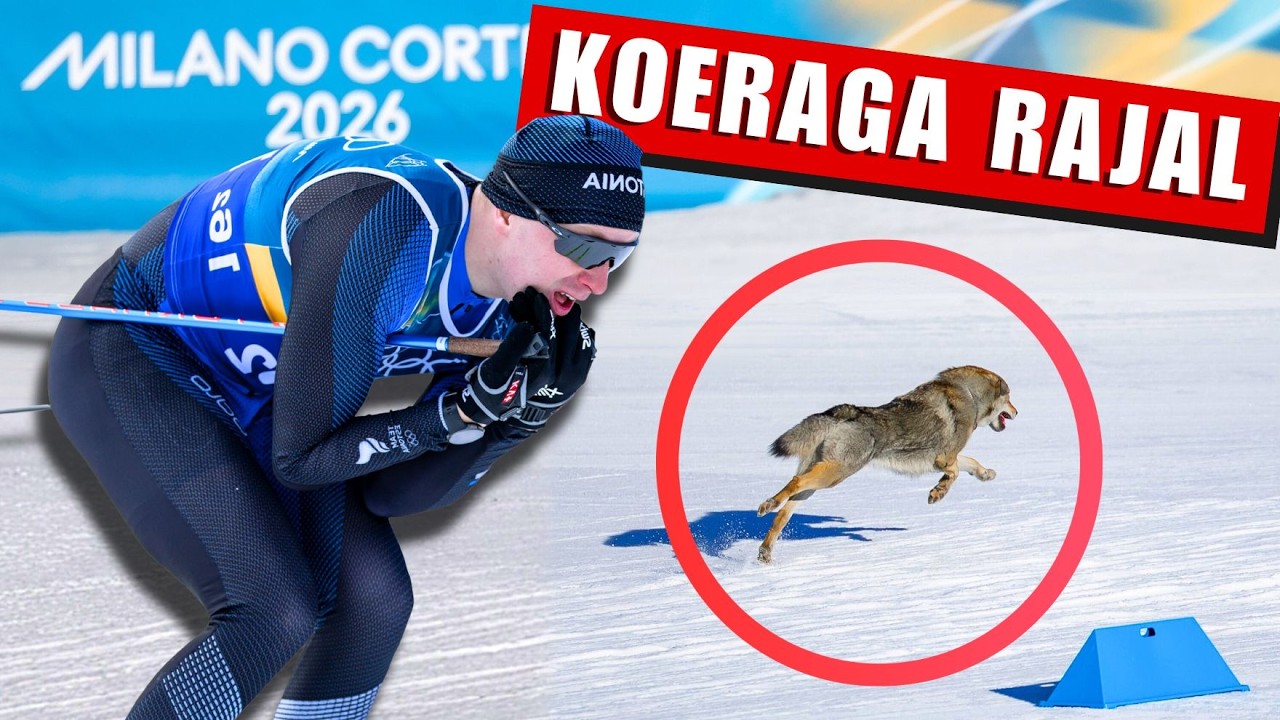 KOERAGA VÕIDU OLÜMPIAL?! (TIIMISPRINDI PÄEV)