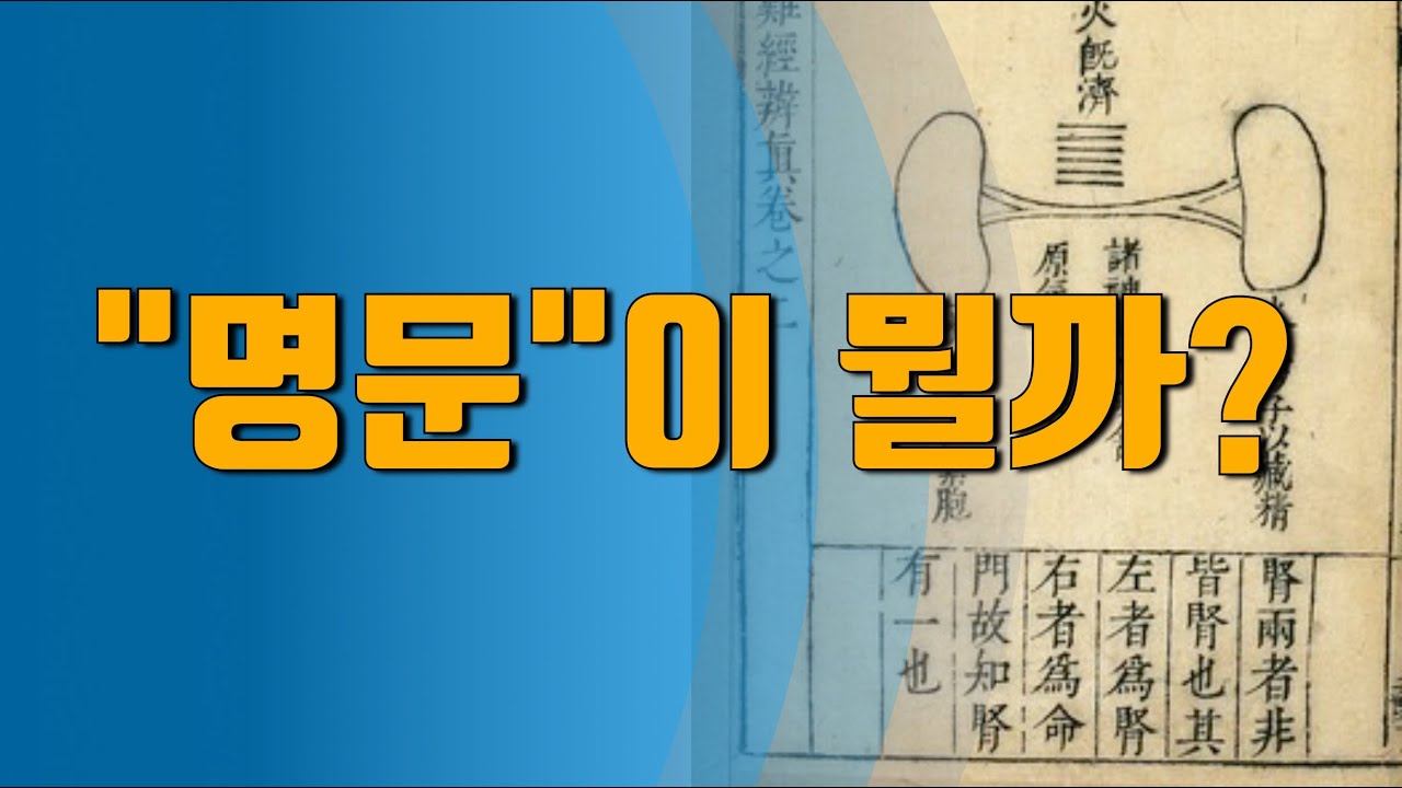 [엉터리 한의학] 명문이란 무엇일까?