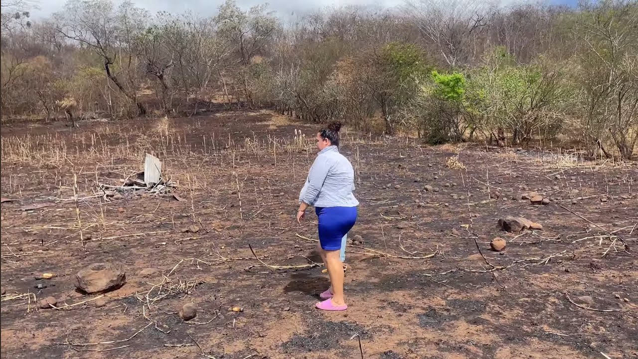 🚨🚨 la importancia  de cuidar  la tierra🚨🚨  🔥🔥🔥🔥🔥