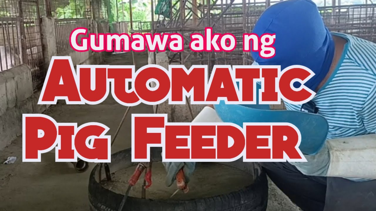 Paano Gumawa ng Automatic Feeder / Ad Libitum by Sulit Mix Tv