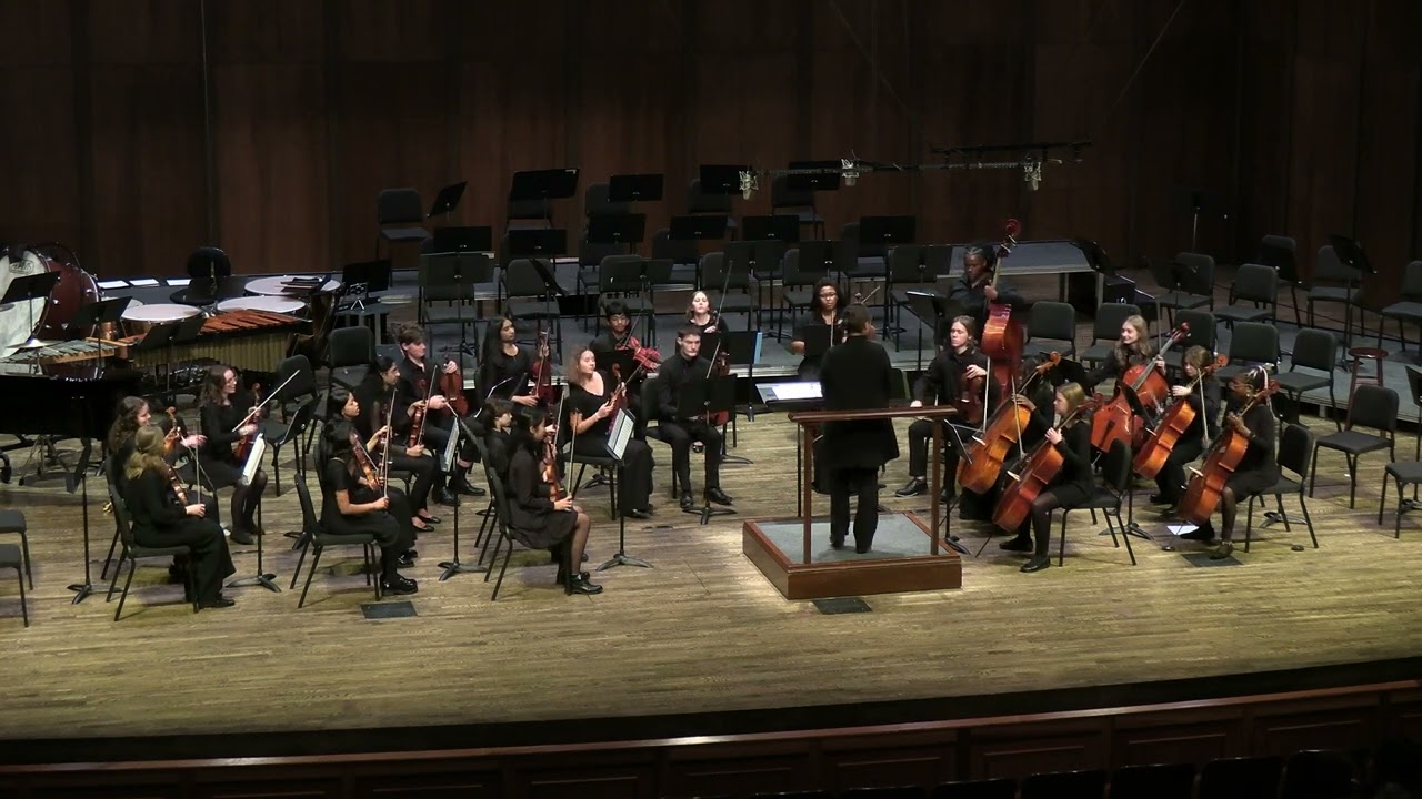 Spring Concert '24 - Chamber Orchestra